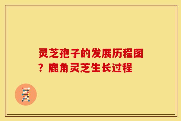 灵芝孢子的发展历程图？鹿角灵芝生长过程