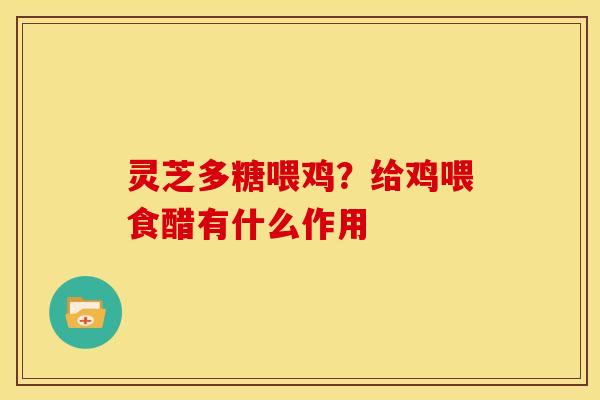 灵芝多糖喂鸡?给鸡喂食醋有什么作用