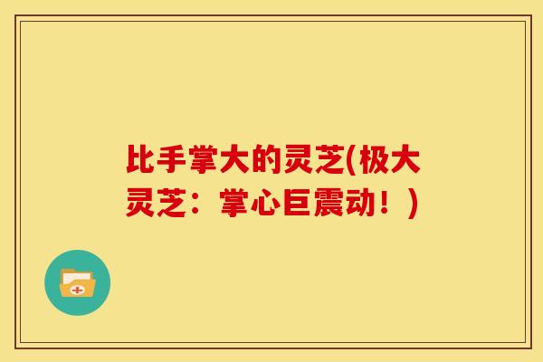 比手掌大的灵芝(极大灵芝：掌心巨震动！)