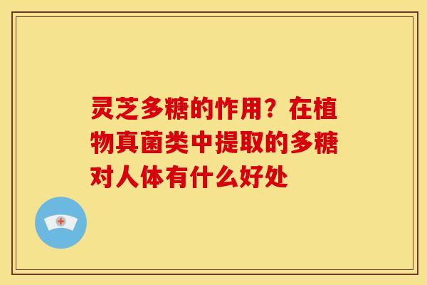 灵芝多糖的怍用?在植物真菌类中提取的多糖对人体有什么好处