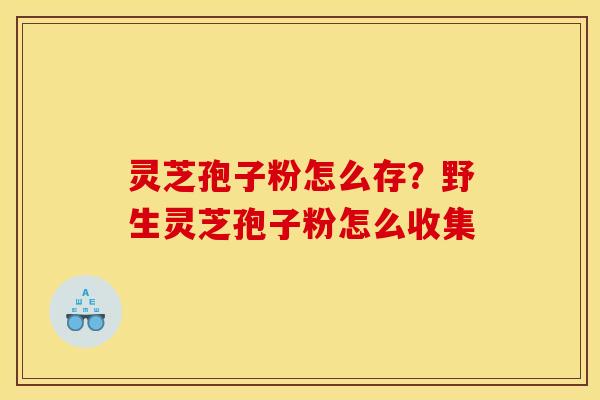 灵芝孢子粉怎么存?野生灵芝孢子粉怎么收集