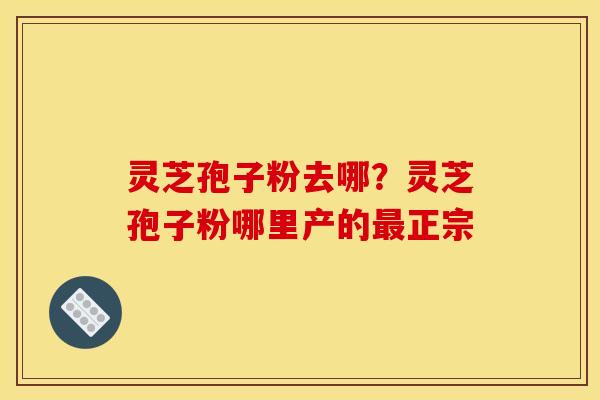 灵芝孢子粉去哪？灵芝孢子粉哪里产的最正宗
