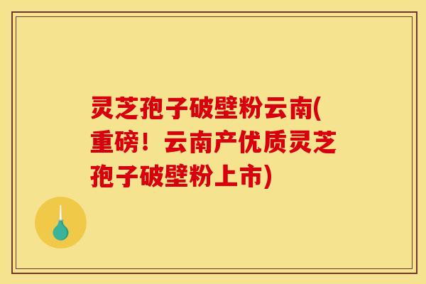 灵芝孢子破壁粉云南(重磅！云南产优质灵芝孢子破壁粉上市)