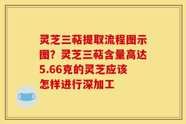 灵芝三萜提取流程图示图?灵芝三萜含量高达5.66克的灵芝应该怎样进行深加工