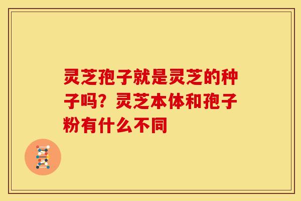 灵芝孢子就是灵芝的种子吗?灵芝本体和孢子粉有什么不同