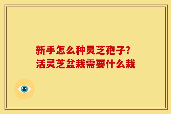 新手怎么种灵芝孢子？活灵芝盆栽需要什么栽