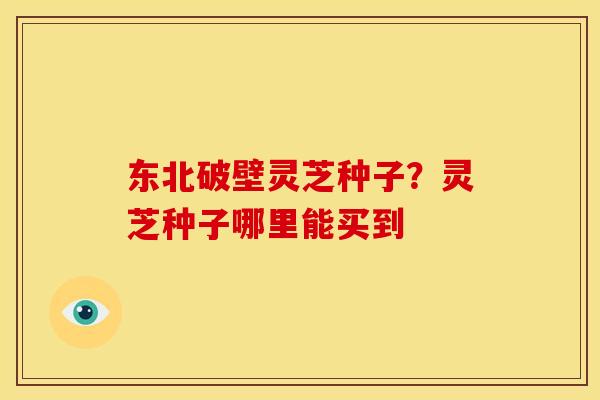 东北破壁灵芝种子？灵芝种子哪里能买到