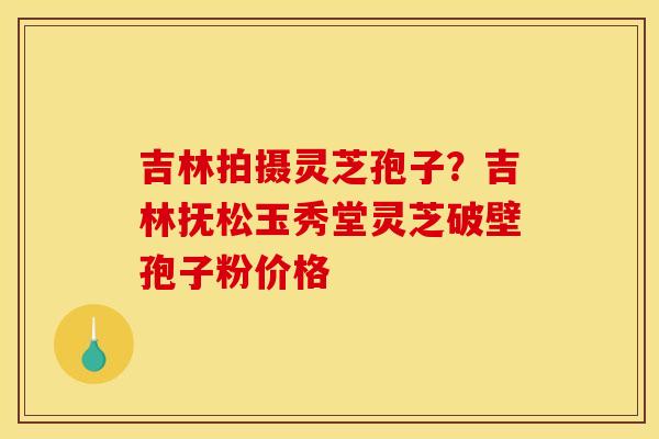 吉林拍摄灵芝孢子?吉林抚松玉秀堂灵芝破壁孢子粉价格