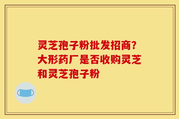 灵芝孢子粉批发招商?大形药厂是否收购灵芝和灵芝孢子粉