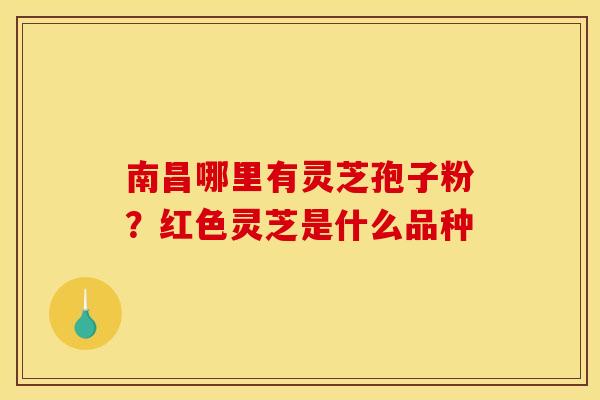 南昌哪里有灵芝孢子粉?红色灵芝是什么品种