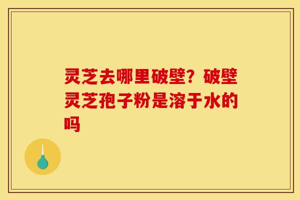 灵芝去哪里破壁?破壁灵芝孢子粉是溶于水的吗