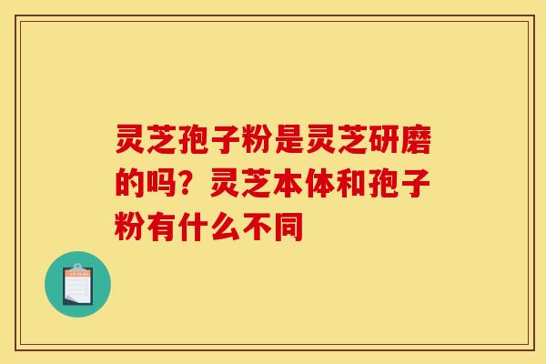 灵芝孢子粉是灵芝研磨的吗？灵芝本体和孢子粉有什么不同