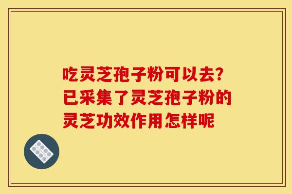 吃灵芝孢子粉可以去?已采集了灵芝孢子粉的灵芝功效作用怎样呢