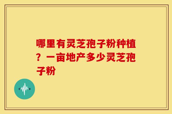 哪里有灵芝孢子粉种植?一亩地产多少灵芝孢子粉