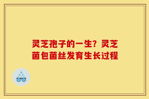 灵芝孢子的一生?灵芝菌包菌丝发育生长过程