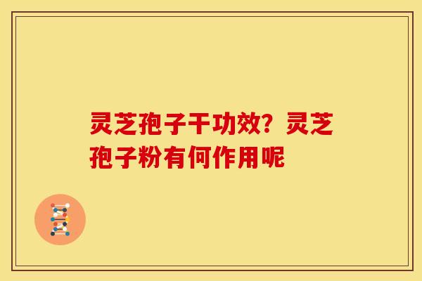 灵芝孢子干功效?灵芝孢子粉有何作用呢