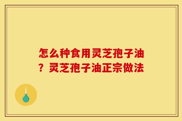 怎么种食用灵芝孢子油?灵芝孢子油正宗做法