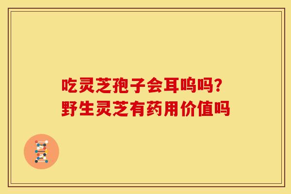 吃灵芝孢子会耳呜吗？野生灵芝有药用价值吗