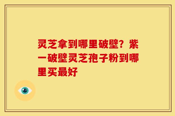 灵芝拿到哪里破壁？紫一破壁灵芝孢子粉到哪里买最好