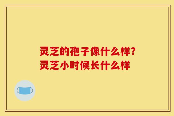 灵芝的孢子像什么样?灵芝小时候长什么样