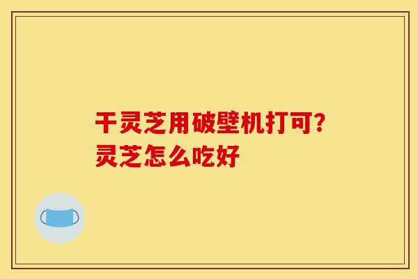 干灵芝用破壁机打可？灵芝怎么吃好