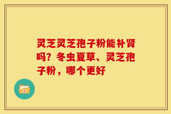 灵芝灵芝孢子粉能补肾吗?冬虫夏草、灵芝孢子粉,哪个更好