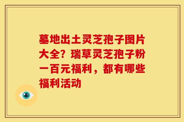 墓地出土灵芝孢子图片大全?瑞草灵芝孢子粉一百元福利,都有哪些福利活动