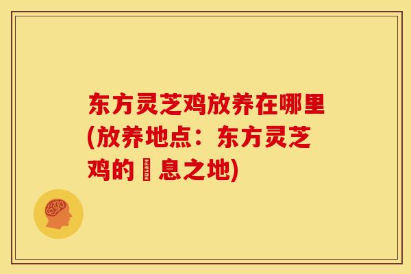 东方灵芝鸡放养在哪里(放养地点:东方灵芝鸡的棲息之地)