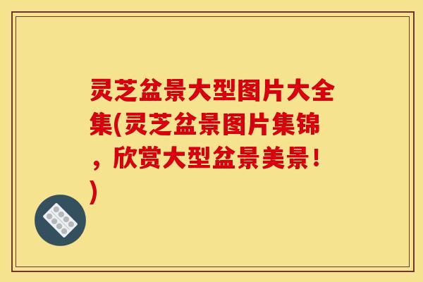 灵芝盆景大型图片大全集(灵芝盆景图片集锦，欣赏大型盆景美景！)