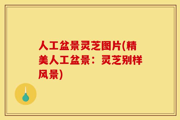 人工盆景灵芝图片(精美人工盆景：灵芝别样风景)