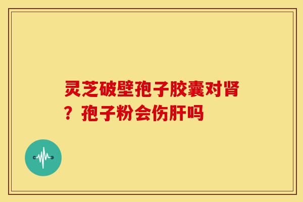 灵芝破壁孢子胶囊对肾？孢子粉会伤肝吗
