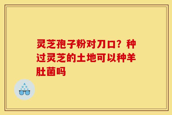 灵芝孢子粉对刀口?种过灵芝的土地可以种羊肚菌吗