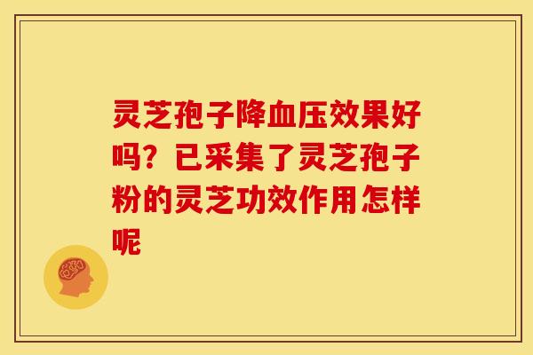 灵芝孢子降血压效果好吗?已采集了灵芝孢子粉的灵芝功效作用怎样呢