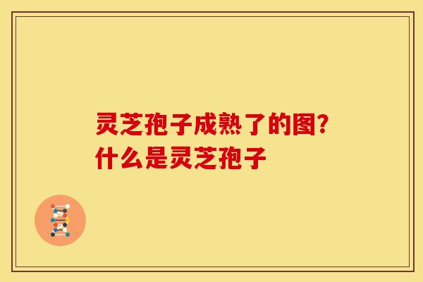 灵芝孢子成熟了的图?什么是灵芝孢子