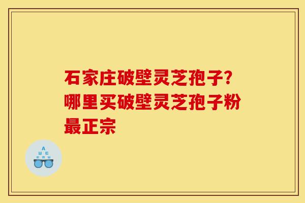 石家庄破壁灵芝孢子？哪里买破壁灵芝孢子粉最正宗