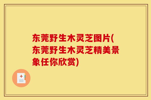 东莞野生木灵芝图片(东莞野生木灵芝精美景象任你欣赏)