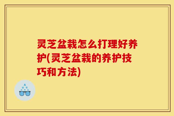 灵芝盆栽怎么打理好养护(灵芝盆栽的养护技巧和方法)