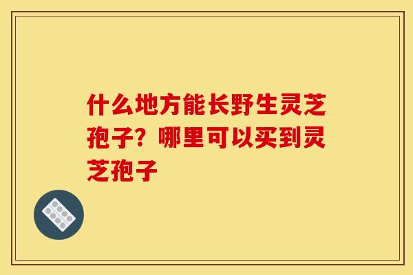 什么地方能长野生灵芝孢子?哪里可以买到灵芝孢子