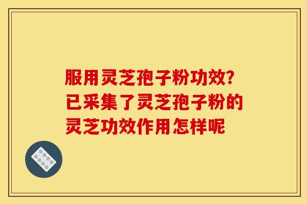服用灵芝孢子粉功效？已采集了灵芝孢子粉的灵芝功效作用怎样呢