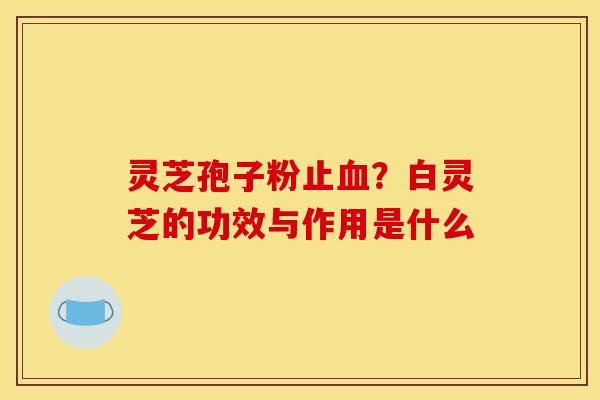 灵芝孢子粉止血?白灵芝的功效与作用是什么