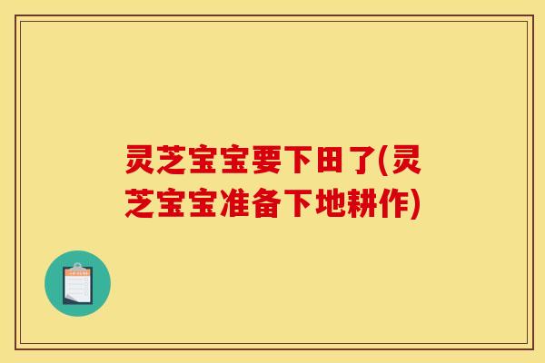 灵芝宝宝要下田了(灵芝宝宝准备下地耕作)