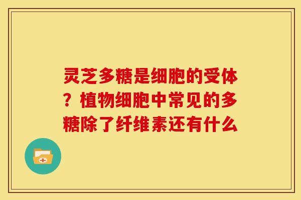 灵芝多糖是细胞的受体?植物细胞中常见的多糖除了纤维素还有什么