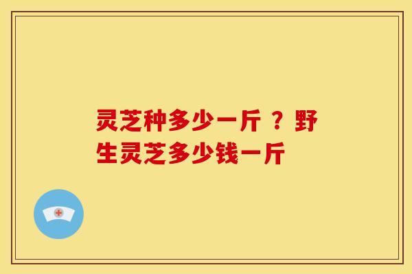 灵芝种多少一斤 ?野生灵芝多少钱一斤