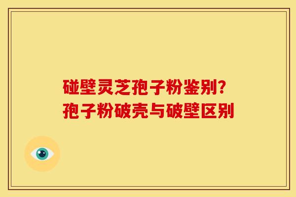 碰壁灵芝孢子粉鉴别？孢子粉破壳与破壁区别