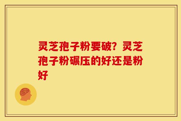 灵芝孢子粉要破？灵芝孢子粉碾压的好还是粉好