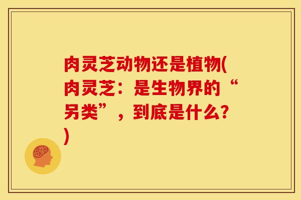 肉灵芝动物还是植物(肉灵芝:是生物界的“另类”,到底是什么?)