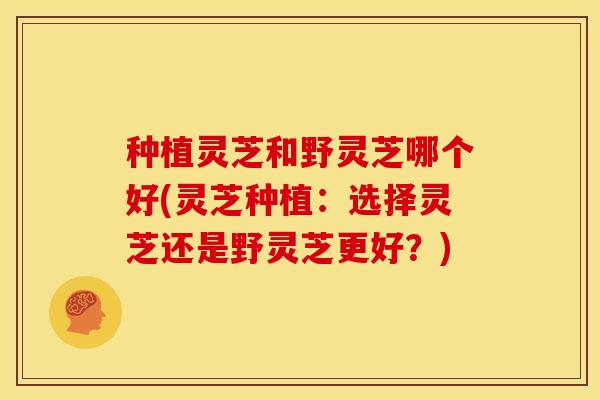 种植灵芝和野灵芝哪个好(灵芝种植:选择灵芝还是野灵芝更好?)