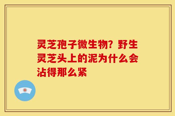 灵芝孢子微生物?野生灵芝头上的泥为什么会沾得那么紧