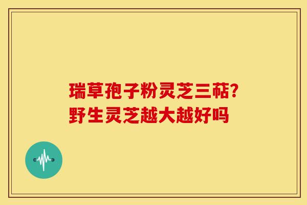瑞草孢子粉灵芝三萜?野生灵芝越大越好吗
