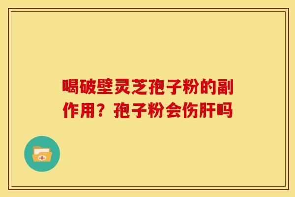 喝破壁灵芝孢子粉的副作用?孢子粉会伤肝吗
